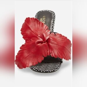 Cecelia New York, 🌺 Hibiscus II, Slide Sandal, Black/White/Red, Size 7.5